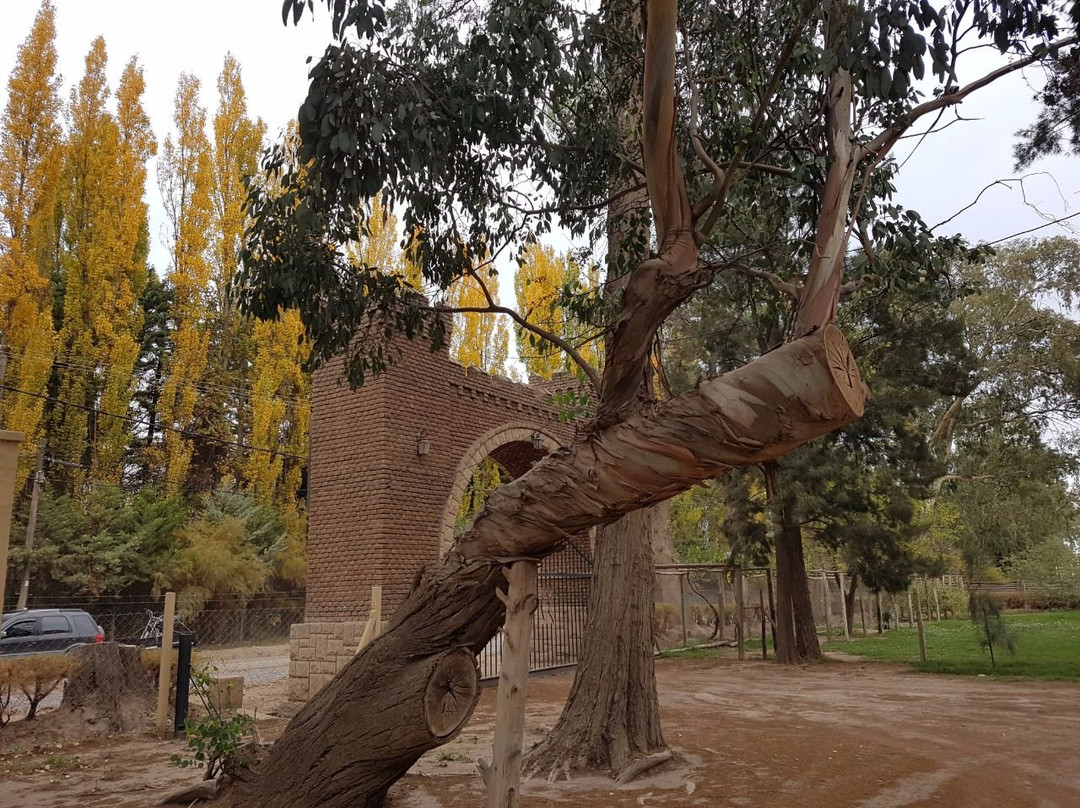 西波列蒂旅游景点-Bodega Museu La Falda