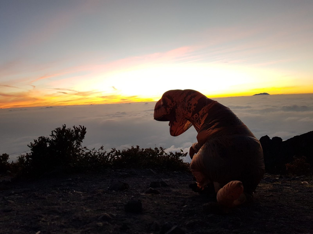 Jogja Tour Driver-Sleman必去景点