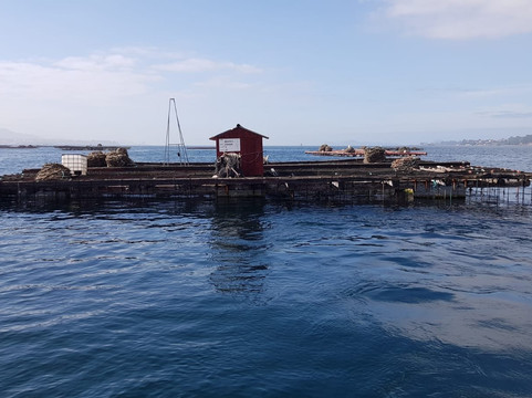 Ocean Secrets-比戈必去景点