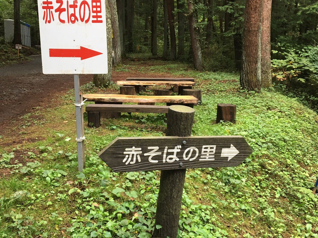 Akasoba no Sato-箕轮町必去景点