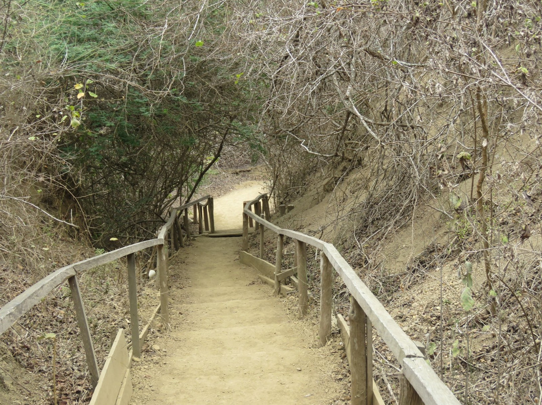Isla de la Plata-Machalilla National Park必去景点