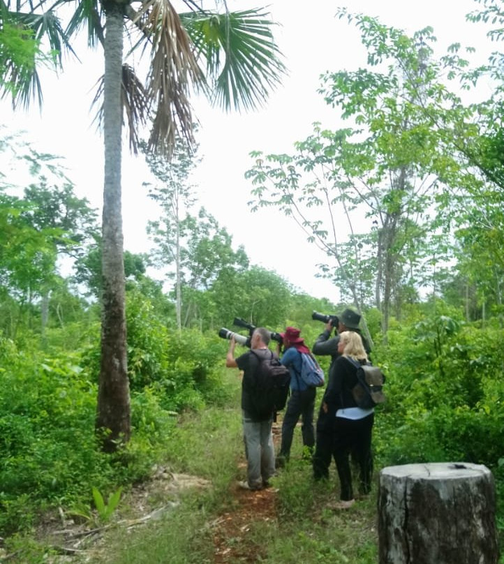 Reserva Toh-从莫雷洛斯港必去景点