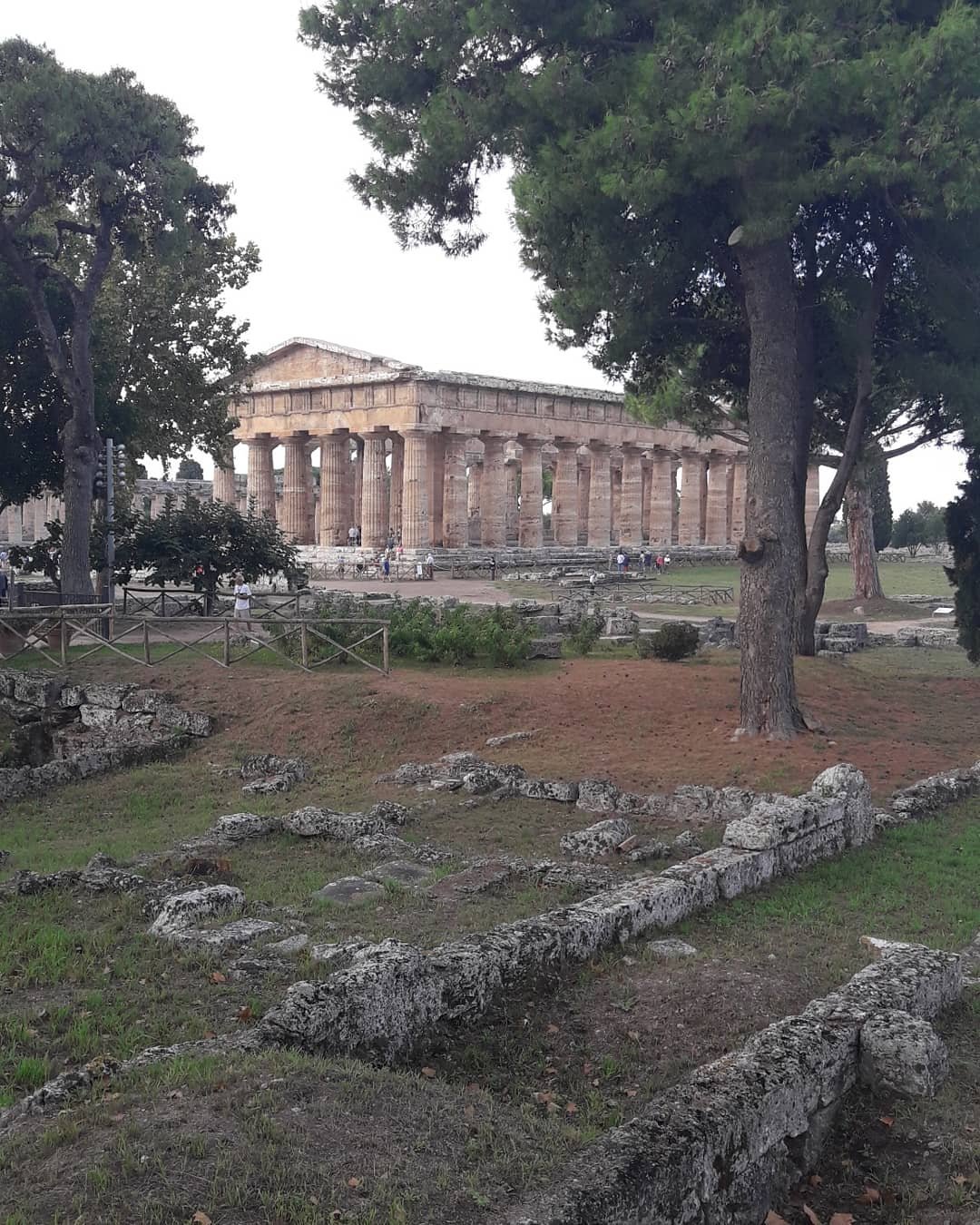 B&B Villa Nicodemo-官方