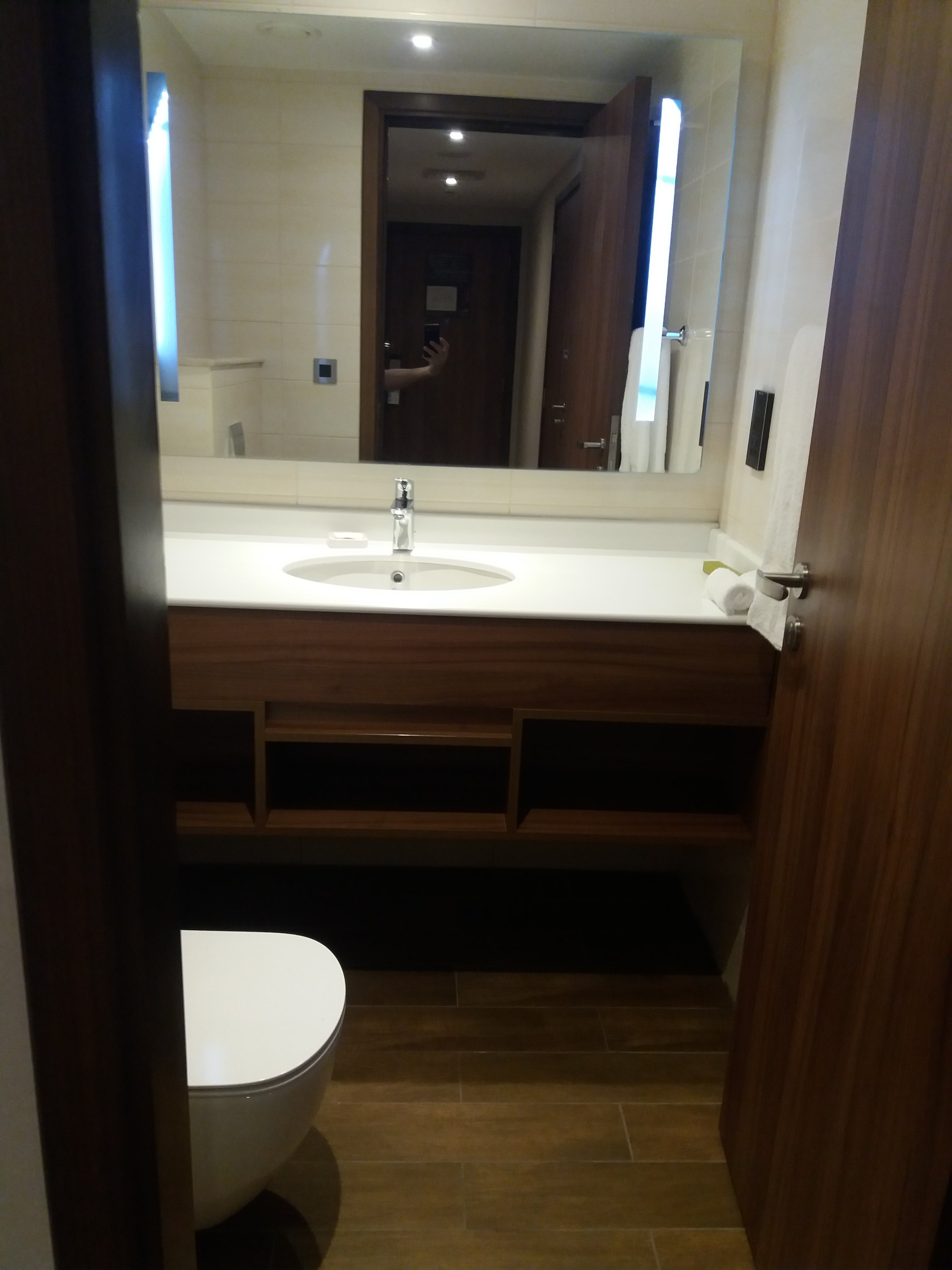 Hilton Garden Inn Al Jubail-浴室