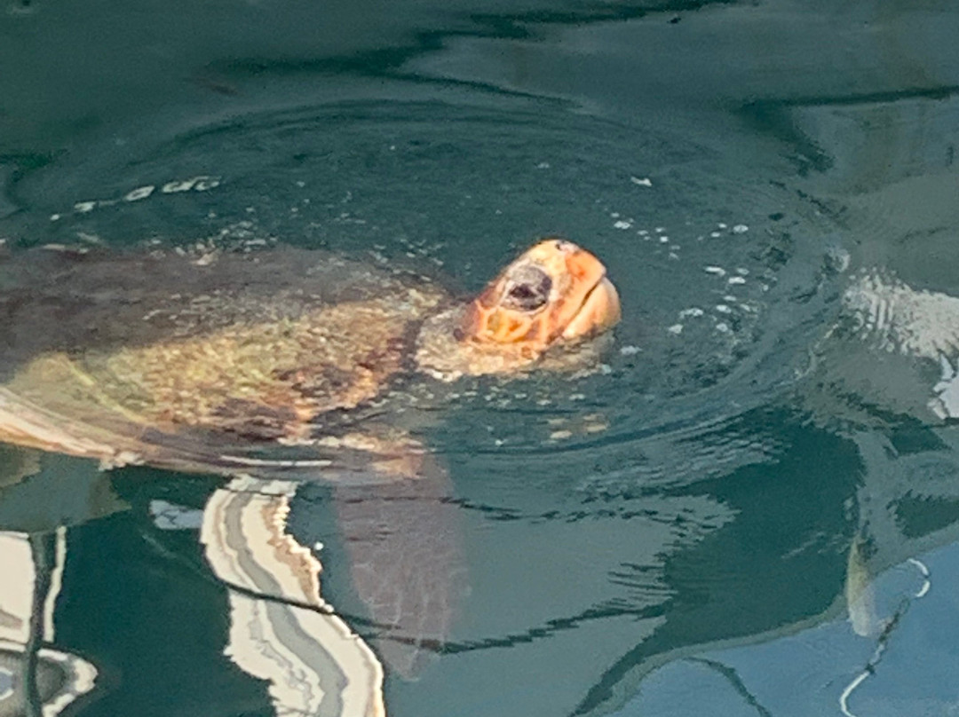 Zografakis Travel-Argassi必去景点