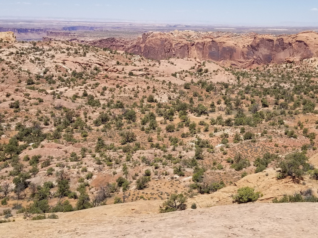 Whale Rock-峡谷地国家公园必去景点