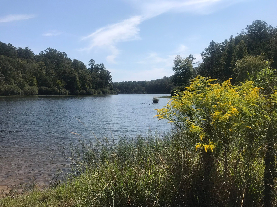 Lake Nicol-塔斯卡卢萨县必去景点