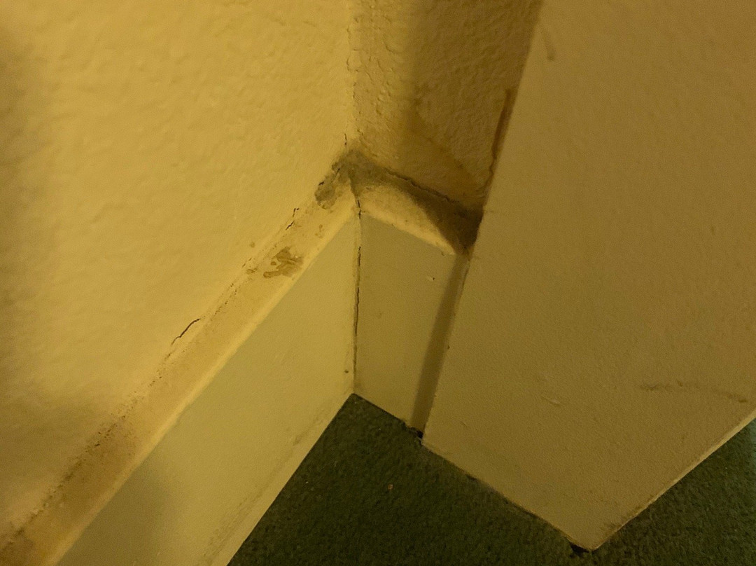 费尔法克斯旅馆主图