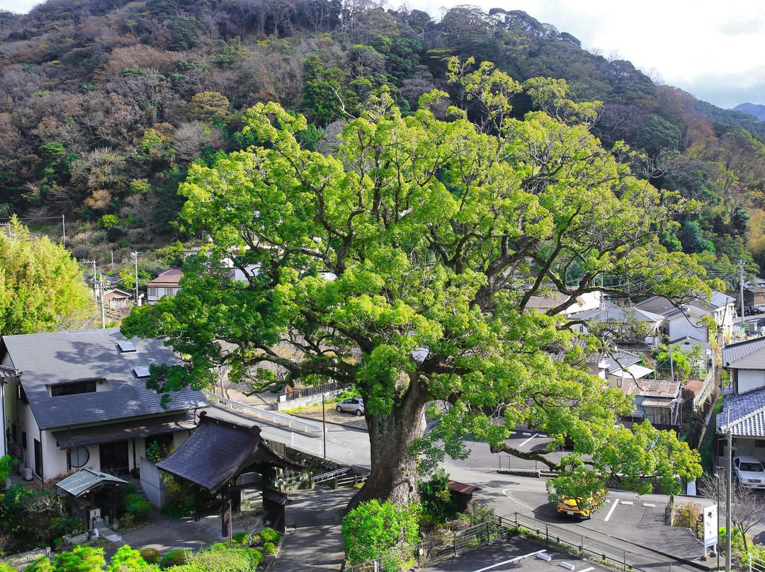 Anraku-ji Temple-伊豆市必去景点