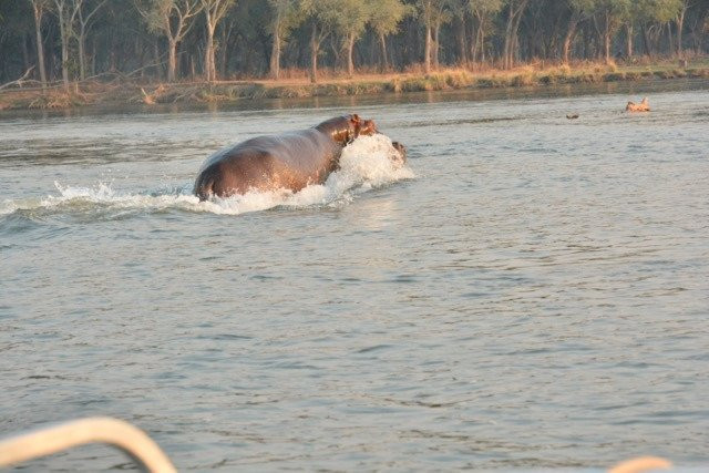 River God Adventures景点图片