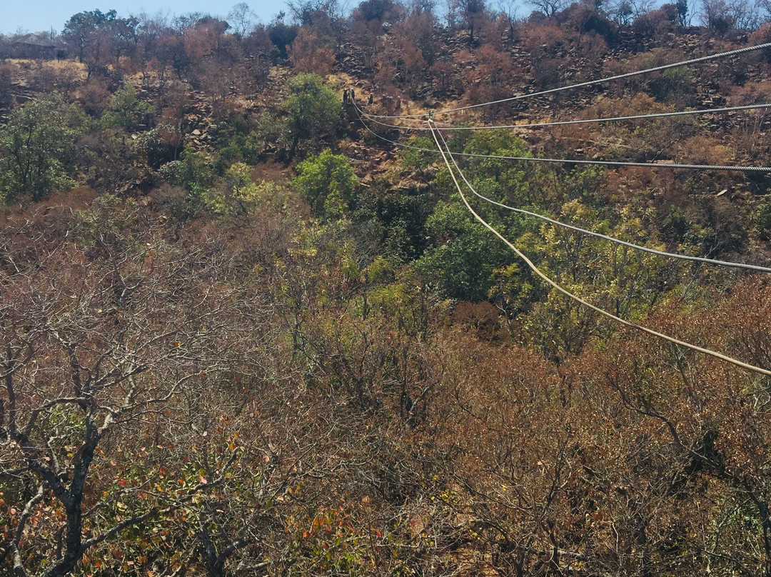 Waterberg Zipline Adventures景点图片