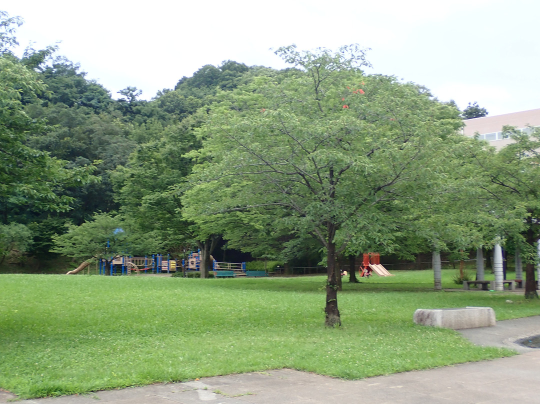 Daimaru Park-稻城市必去景点