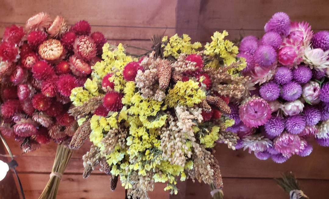 Riverview Farm-Plainfield必去景点