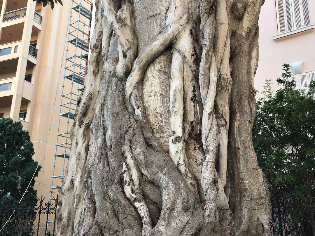 Le Nouveau Musee National-拉孔达米讷必去景点