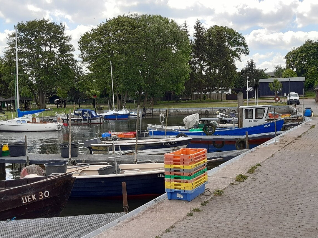 Fischereihafen Ueckermünde景点图片