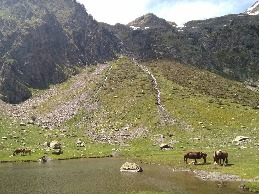 Percanela-Les Fonts-Pla de l'Estany Trail-阿林萨尔必去景点