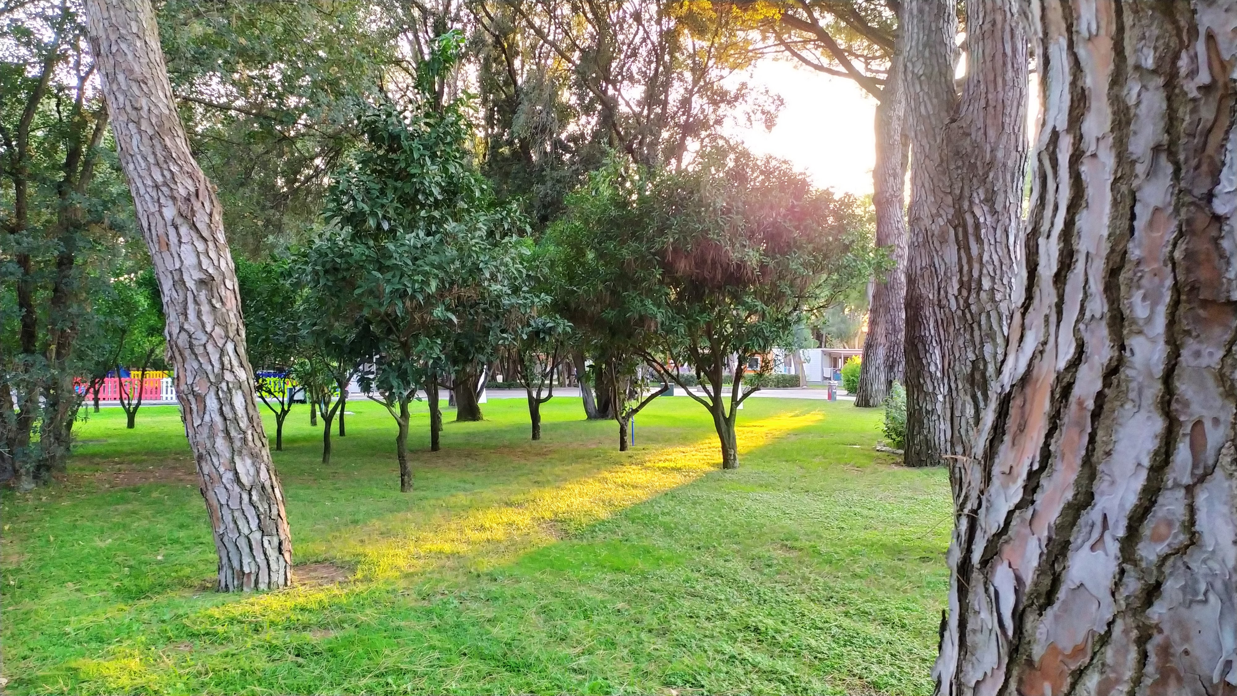 Baia Domizia Camping Village-浴室