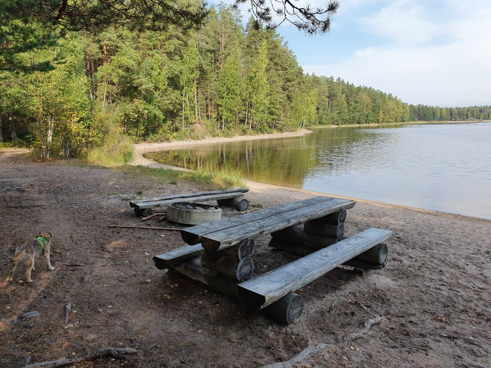 Lammassaari Island-Imatra必去景点