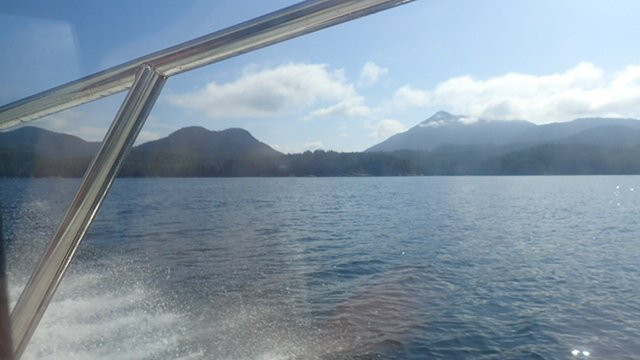 Clayoquot Wild景点图片