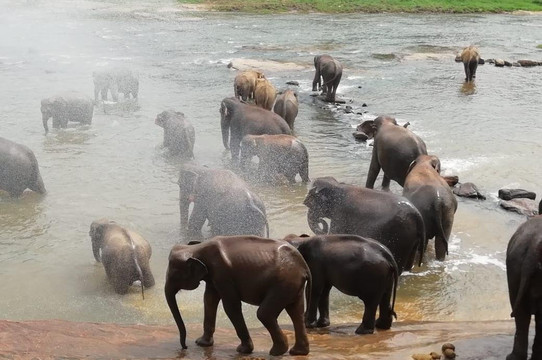 Best Lanka Tours-科伦坡必去景点