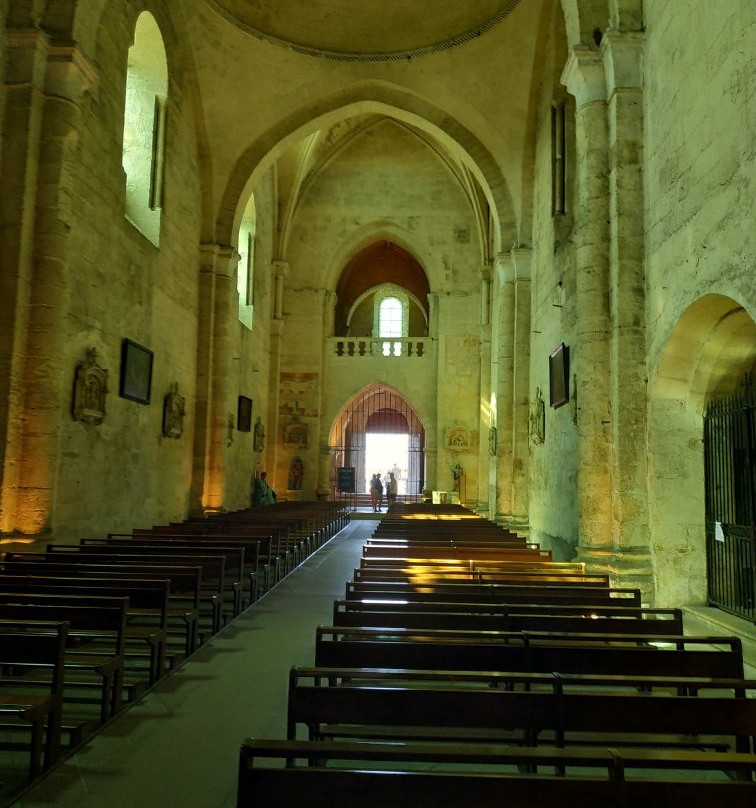 Eglise Collegiale de Saint-Emilion景点图片