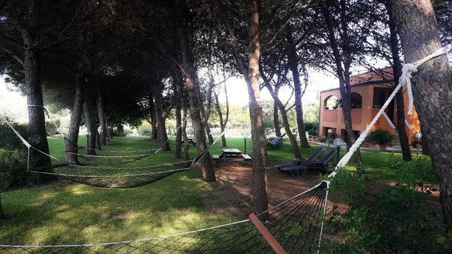 地中海的太阳主图