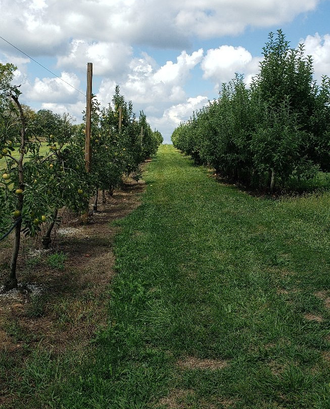 Reed Valley Orchard-Paris必去景点