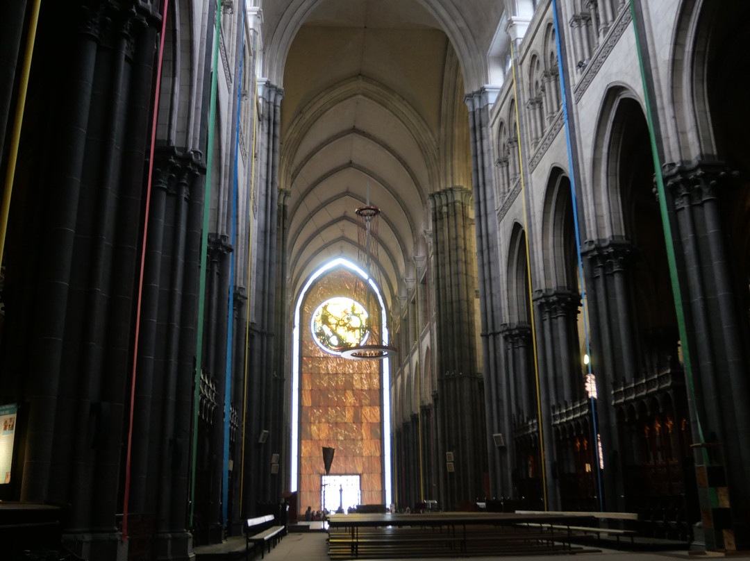 Cathedrale de la Treille景点图片