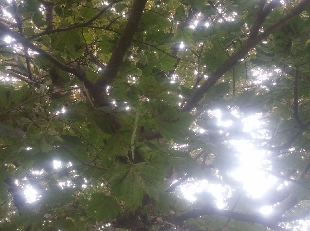 Bryn Mawr College-Bryn Mawr必去景点