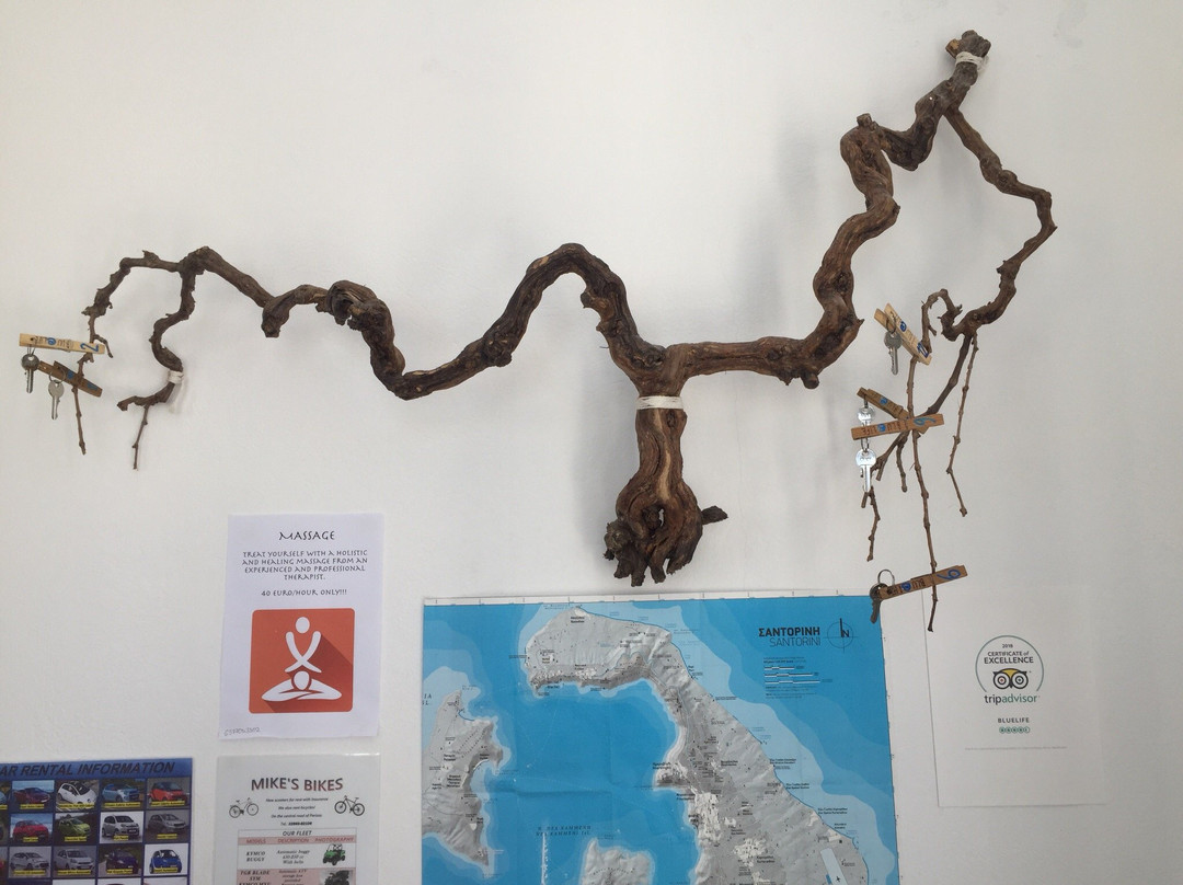 Blue Life Hotel主图