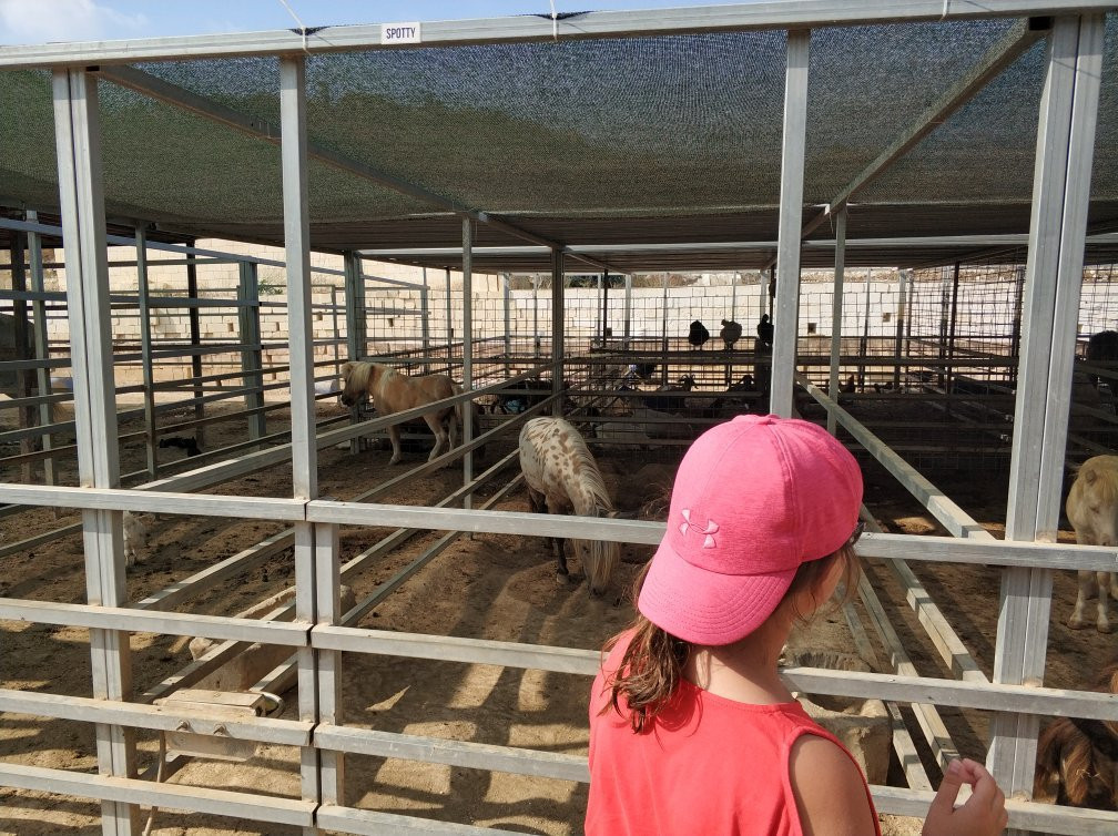 Dreams of Horses Farm-Xaghra必去景点