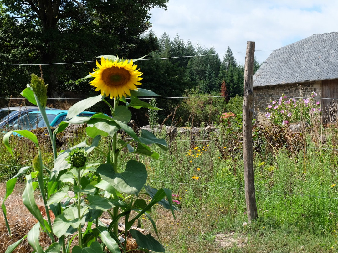 La Ferme de Leix主图