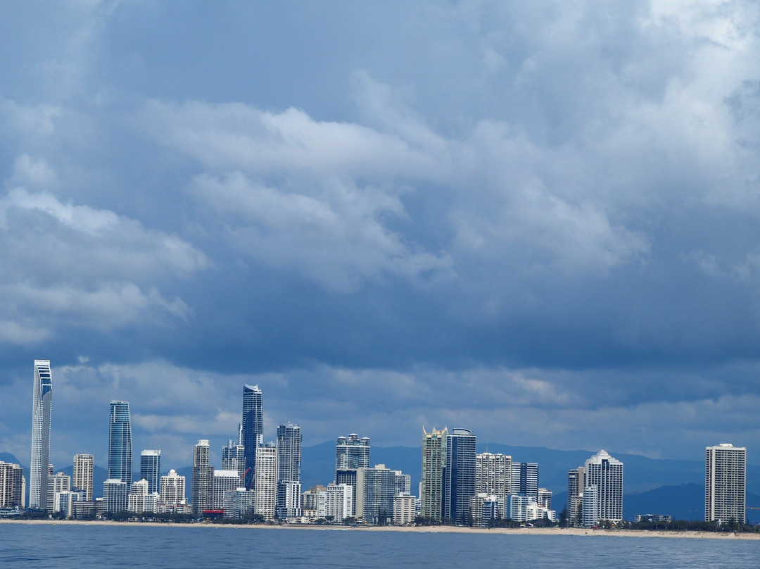 Spirit of Gold Coast Whale Watching-梅因海滩必去景点