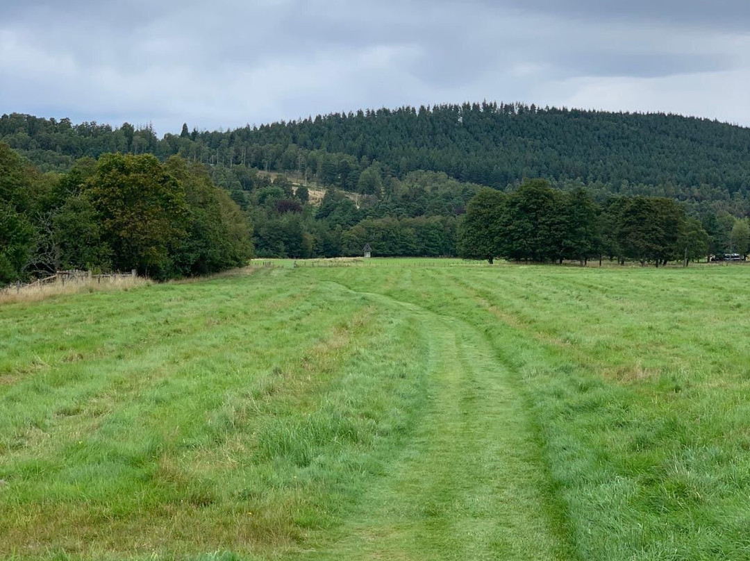 Glen Tanar National Nature Reserve-Aboyne必去景点