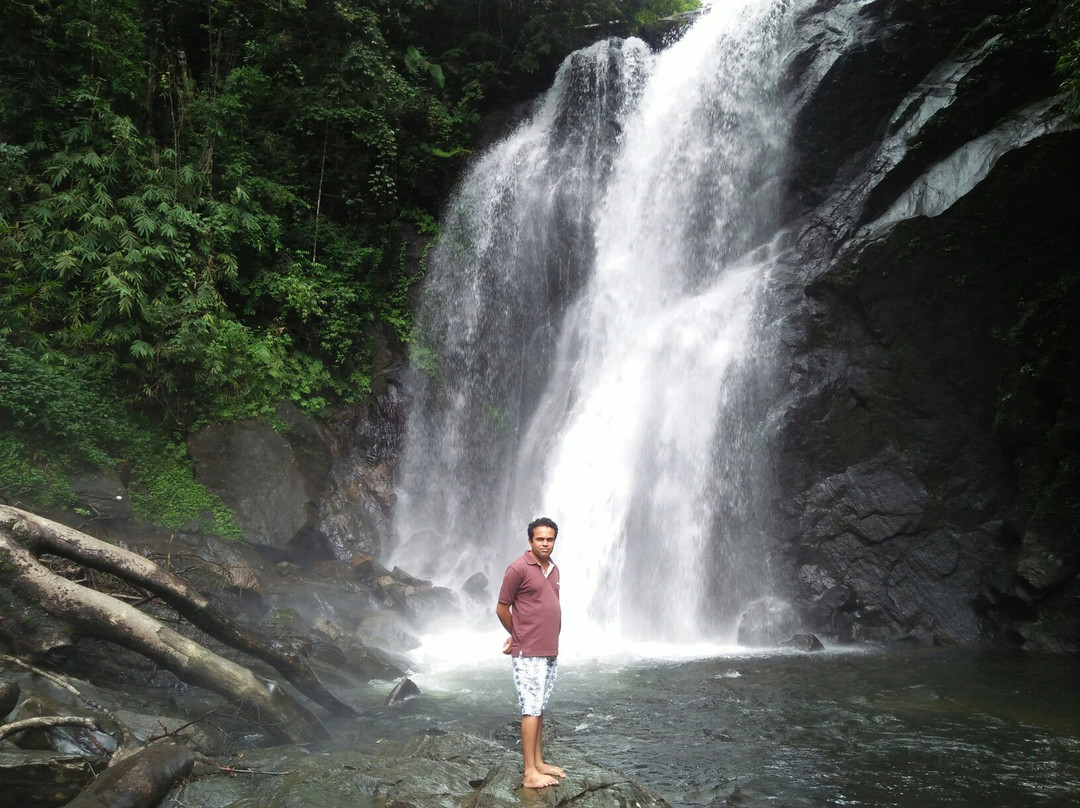 Tropical Rain Forest Sinharaja-Neluwa必去景点