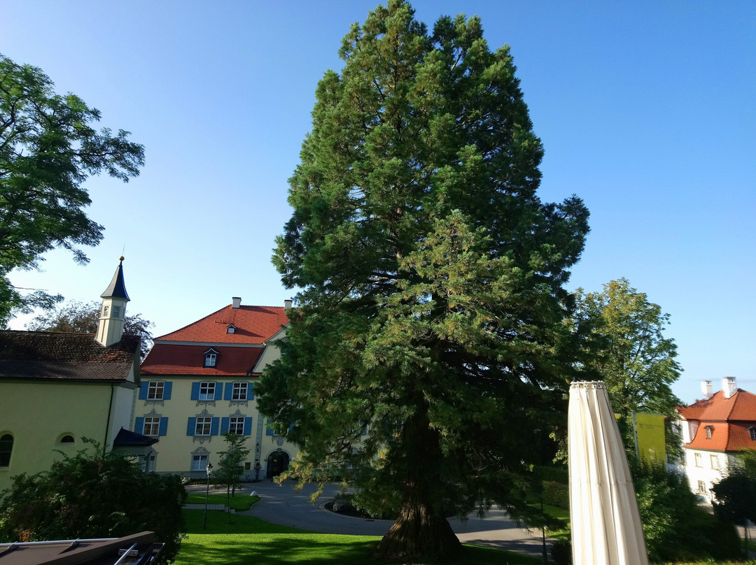 Schloss-Gasthof Sonne主图