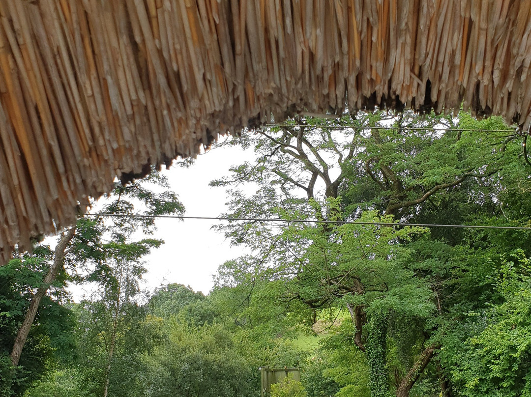 The Barn and Pinn Cottage主图