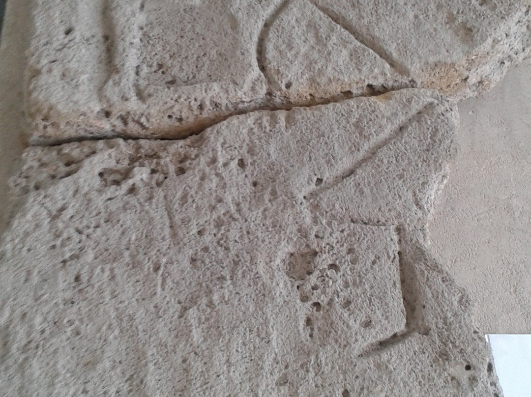 Odessa Archaeological Museum-敖德萨必去景点
