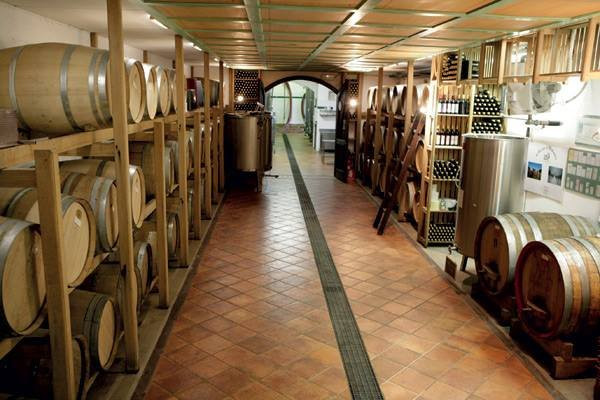 Azienda vitivinicola Il Roccolo di Mezzomerico景点图片