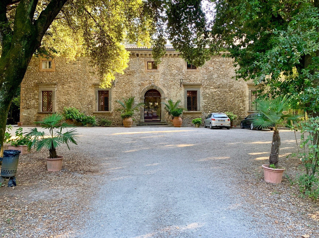 奇科尼雅别墅酒店主图