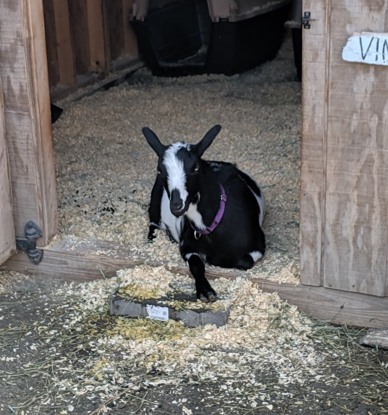 Roger Williams Park-普罗维登斯必去景点