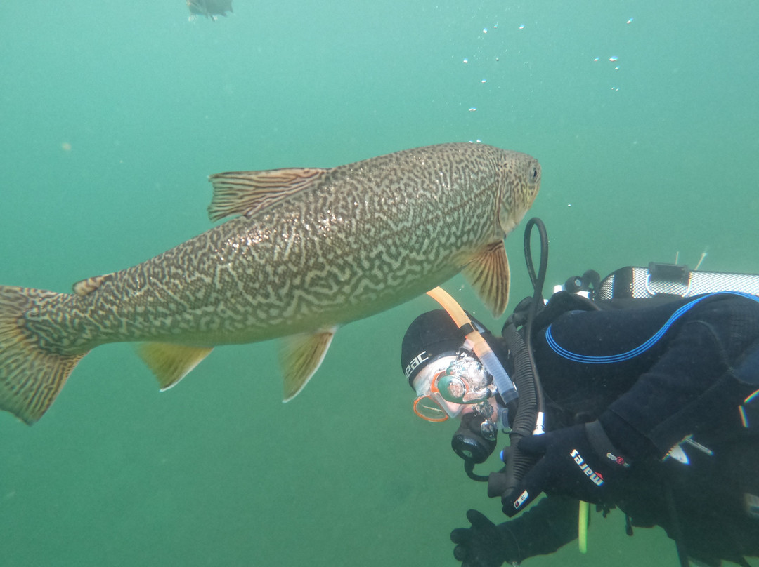 Grüblsee Alpenaquarium-Vordernberg必去景点