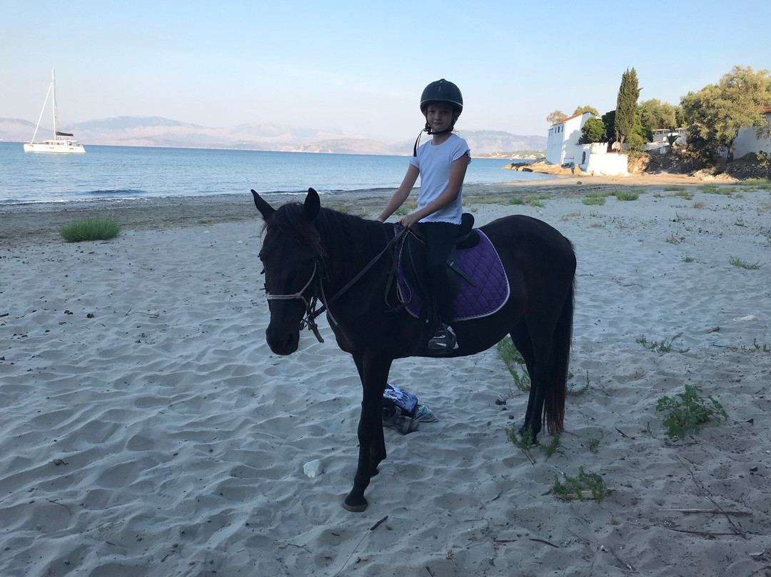 Arena horse riding corfu-Perithia必去景点