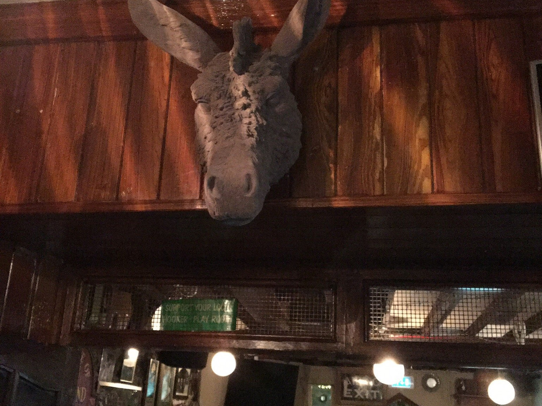 The Roaring Donkey-科夫必去景点