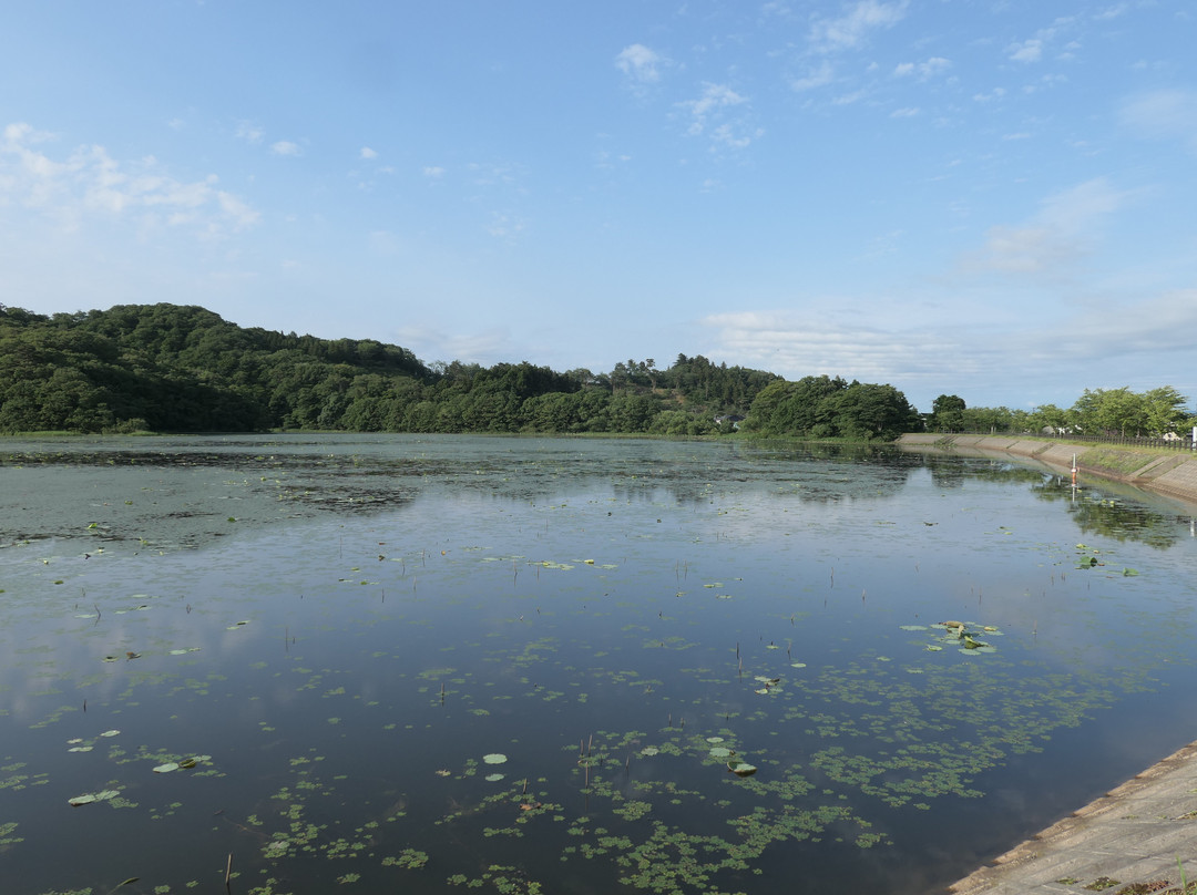 Oyama Kamiike Pond-鹤冈市必去景点