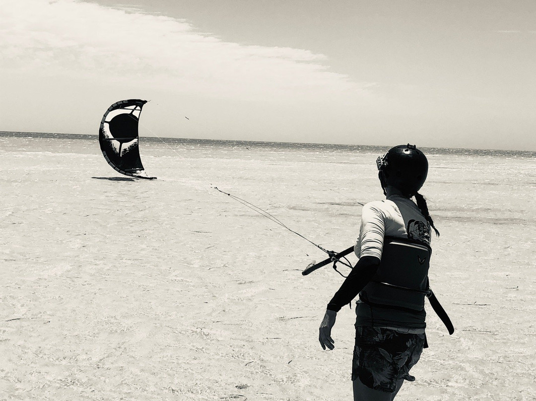 Shark Bay Kitesurfing-德纳姆必去景点