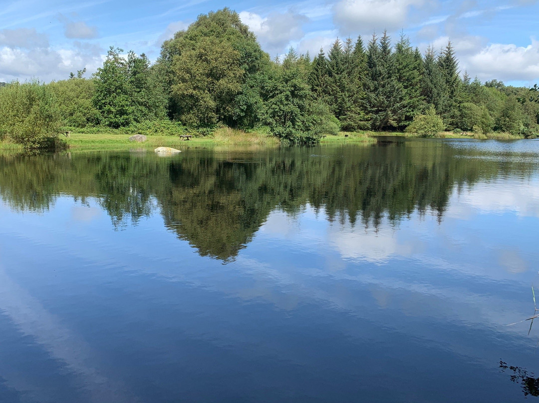 Annamoe Trout Fishery-Annamoe必去景点