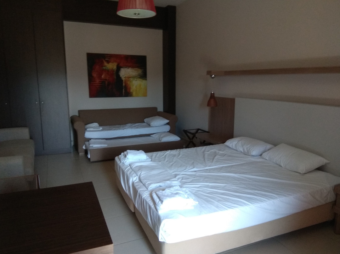 Tsokas Hotel Apartments主图