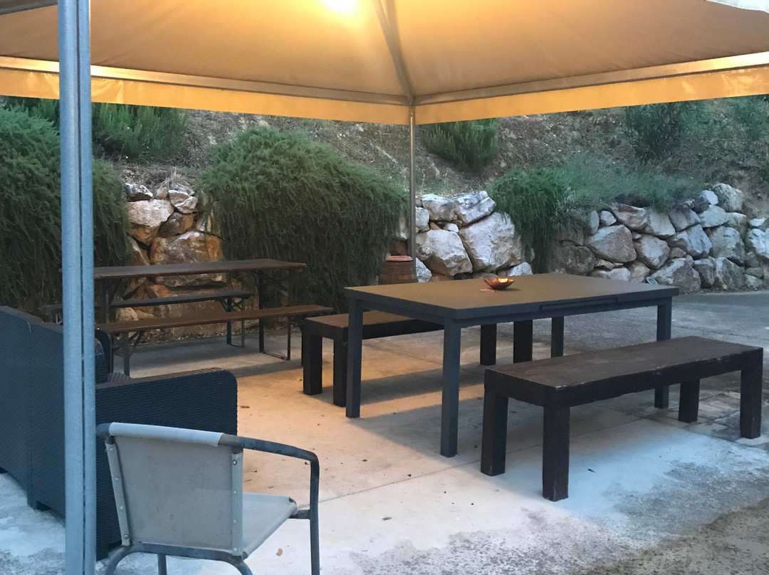 Agriturismo La Valle degli Ulivi主图