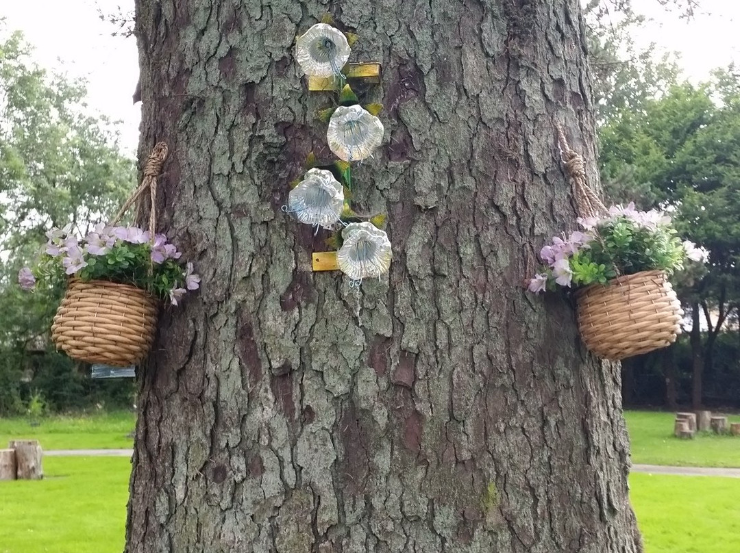 Tiny Feet Fairy Garden-Macroom必去景点